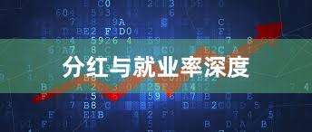 分红与就业率深度