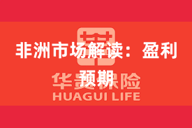 非洲市场解读：盈利预期